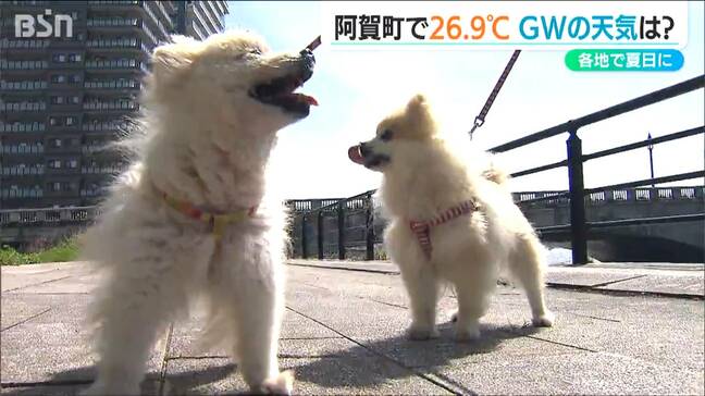 県内7地点で今年の最高気温を観測　大型連休前半は20℃前後の気温で行楽日和に　新潟|TBS NEWS DIG