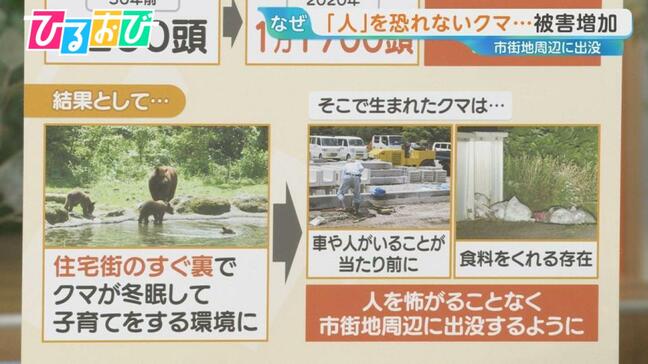 “人を恐れないクマ”の危険　なぜ今、人里に下りてくるのか？【ひるおび】|TBS NEWS DIG