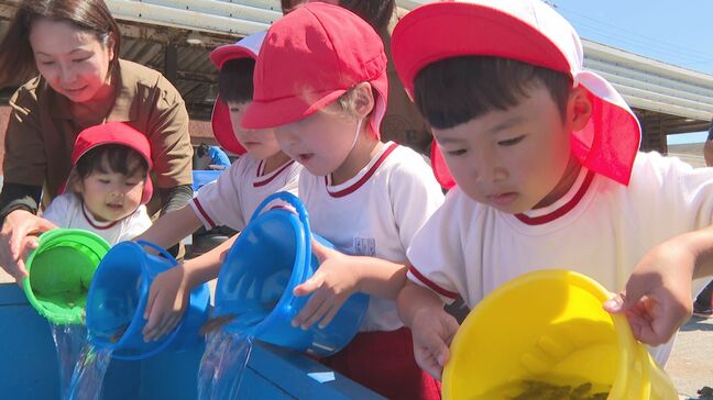 「大きくなってね」カサゴ稚魚1000匹放流 園児がお手伝い 漁獲量増加を目指す |TBS NEWS DIG