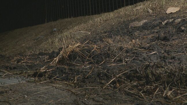 「野焼き中に火が体に燃え移った」自ら119番通報した80代くらいの男性　意識不明の重体か　愛知・豊田市|TBS NEWS DIG