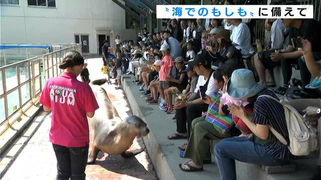 夏休み最後の思い出を届けます！桂浜水族館で海の安心安全を学ぶイベント開催|TBS NEWS DIG