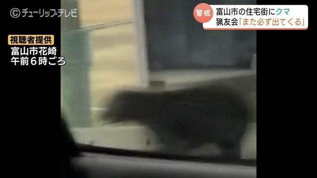 「エサのない山には帰らない、また出てくる」クマが一時住宅街へ?小学校の近くで目撃相次ぐ…猟友会など警戒続く 富山|TBS NEWS DIG