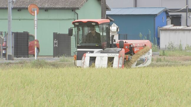 埼玉県川越市で収穫時期の早い米「五百川」の収穫始まる|TBS NEWS DIG