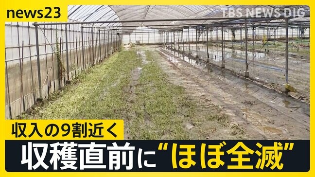 能登を再び襲う大雨「あの時を思い出す」 九州では収穫直前の野菜に深刻被害　収入の9割占める農作物がほぼ全滅【news23】|TBS NEWS DIG
