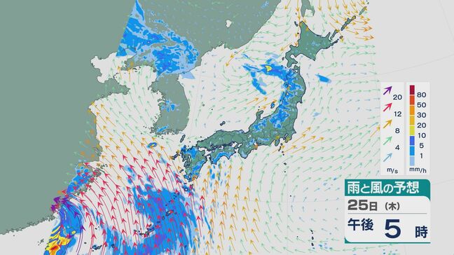 “梅雨明け”は「おあずけ状態」 北陸や東北は大気の状態不安定で雨が強まるところも 雨と風シミュレーション|TBS NEWS DIG