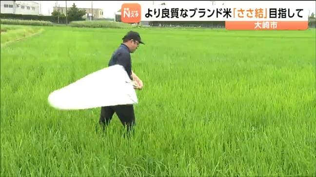 「いつ食べてもおいしいと言われるように」ブランド米の栽培講習会 宮城・大崎市|TBS NEWS DIG