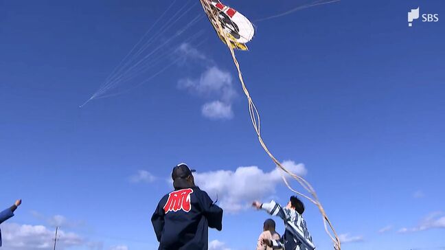 色鮮やかな凧が”遠州のからっ風”に乗って大空を彩る恒例の「遠州横須賀凧揚げまつり」開催=静岡・掛川市|TBS NEWS DIG
