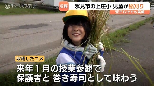 富山・氷見市で大雨を耐え抜いた米を収穫!上庄小の児童93人が笑顔で稲刈り、来年1月には親子で巻き寿司に|TBS NEWS DIG