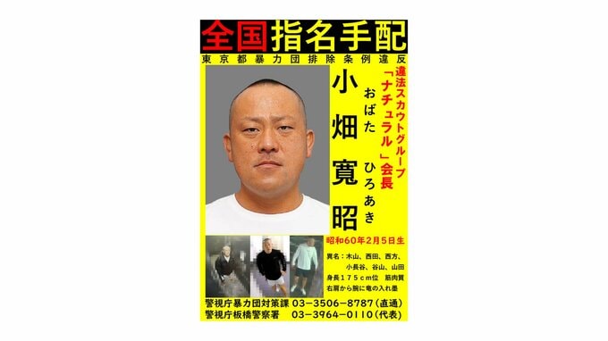 【速報】日本最大の違法風俗スカウトグループ「ナチュラル」会長の小畑寛昭容疑者を指名手配　情報提供呼びかけ　警視庁暴力団対策課|TBS NEWS DIG