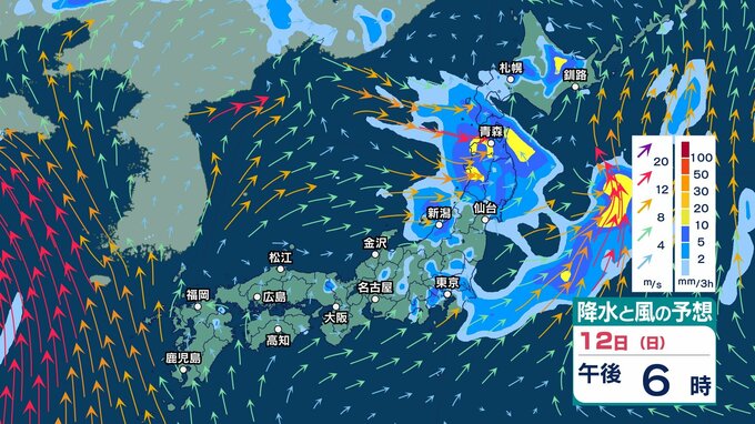【 今後の雨 】北海道は12日(日)にかけ大雨となる所も　東北・北陸でも激しい雨のおそれ　東日本～西日本は急な強い雨に注意　台風9号は沖縄付近へ【今後の雨風シミュレーション・11日正午更新】|TBS NEWS DIG