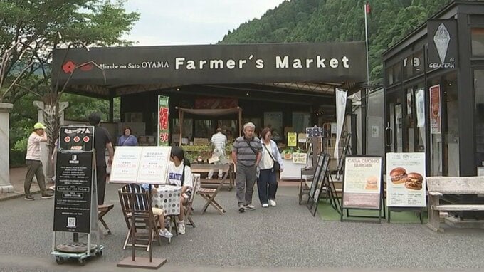 進化系「梅グルメ」続々登場　おやつにポリポリ⁉ 梅酒、パン、ジェラートが集結　道の駅「水辺の郷おおやま」　大分　|　大分のニュース｜OBS NEWS｜大分放送