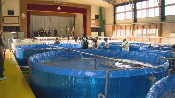 稚魚20万匹が死ぬ被害乗り越え…廃校になった小学校を「サーモンの学校」に…陸上サーモン養殖で目指すブランド化「奥大山サーモン」鳥取・江府町|TBS NEWS DIG