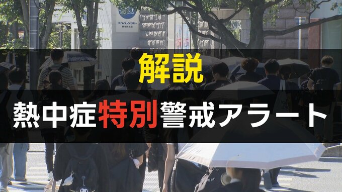 気温40℃超の酷暑日でも発表されない「熱中症“特別”警戒アラート」って？　極めてハードルの高い“最終警報”だった|TBS NEWS DIG
