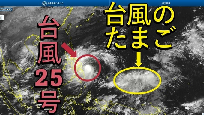 【台風情報】台風25号で終わらず⋯今後は台風のたまご(熱帯天気圧)が発生予想、海水温は高く、台風へ発達の可能性も　一部地域では今後、雨風に注意【雨風シミュレーション】|TBS NEWS DIG