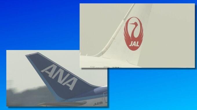 台風5号で交通網に影響　空の便に一部欠航の可能性　新幹線も遅れ・運休が発生か|TBS NEWS DIG