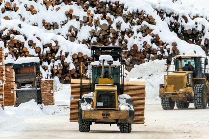 トランプ米大統領、輸入木材への調査指示－関税導入へ地ならしの公算