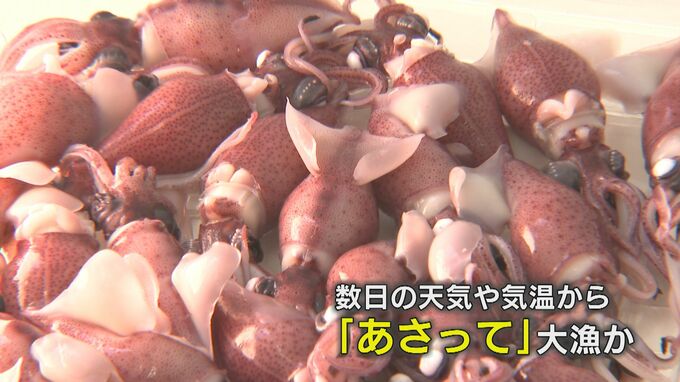 ホタルイカゆでる加工場も稼働　大漁は「あさって」と予想　片道6時間かけて京都から買いに来た客も　|　富山のニュース｜天気・防災｜チューリップテレビ