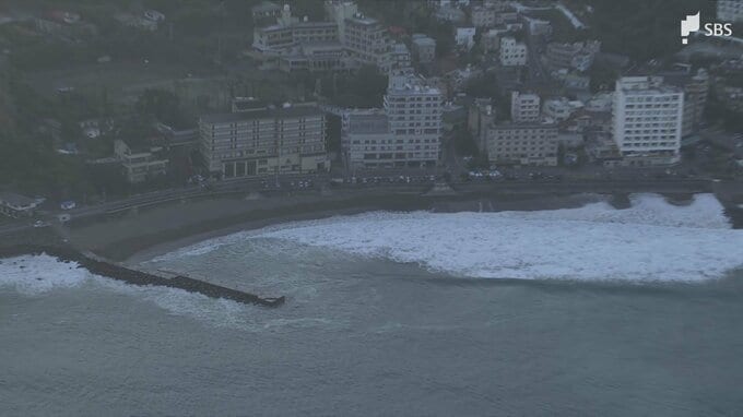 「子どもが流された」東伊豆町のビーチで3人が海に落下 50代の男性が意識不明の重体 10代の男性2人が軽傷 堤防にいたところ波にさらわれたか＝静岡|TBS NEWS DIG