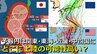 【台風情報】台風10号（サンサン） どこに上陸する可能性高い？  予報円は関東・東海・近畿・中四国に大きく広がる   27日に “発達ピーク” 強い勢力で本州“直撃”のおそれ高く　950hPa・最大瞬間風速60m/s予想　気象庁・欧米予報機関の進路予想比較【28日まで雨・風シミュレーション】　|TBS NEWS DIG
