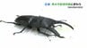ゴールデンウィークのにぎわい　熊本市動植物園では春のこどもまつり　スペシャルガイドも　|　熊本のニュース｜RKK NEWS｜RKK熊本放送