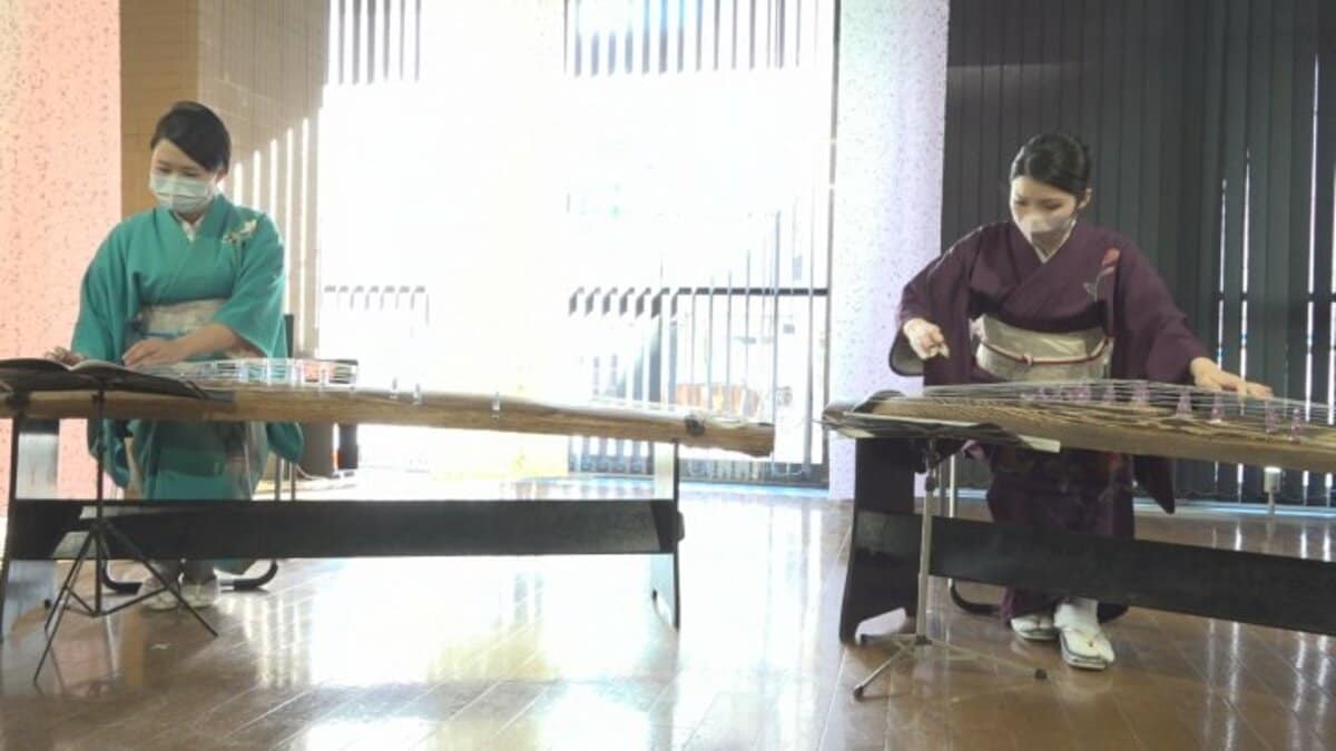 日本の伝統文化に親しむ 若手演奏家による箏のコンサート | TBS NEWS DIG