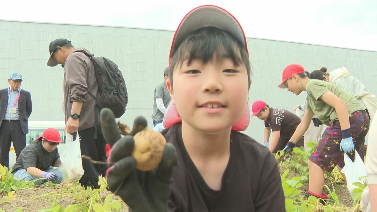 小学生が環境や地産地消学ぶ　大分キヤノン社員育てたジャガイモを収穫体験