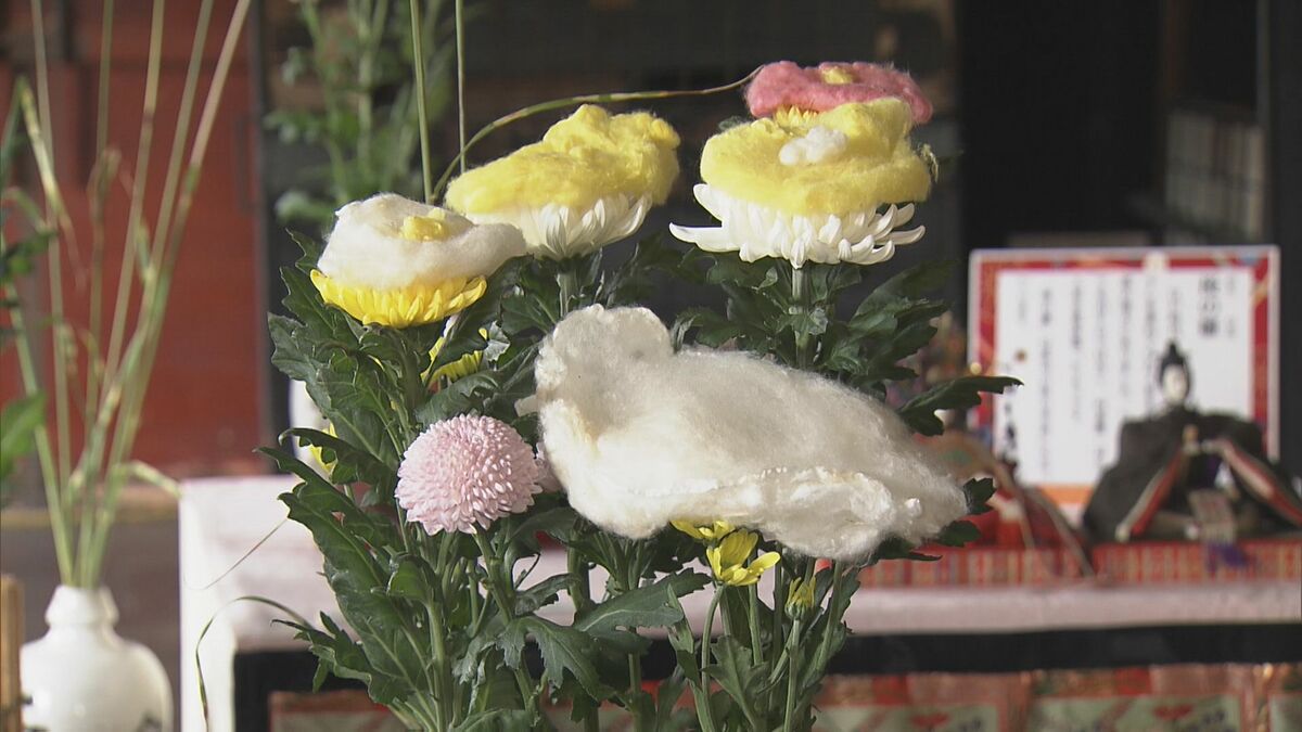 愛知・豊橋市の資料館で「菊の節句」の様子を再現　不老長寿を願う「菊の着せ綿」やひな人形を再び飾る「後の雛」など展示　9月9日は「重陽の節句」　
