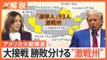 大接戦のアメリカ大統領選「共和党支持者の争点の熱意大きかった」 勝敗分ける“激戦州”の行方は【Nスタ解説】|TBS NEWS DIG