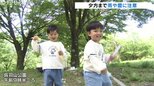 新緑の中、穏やかな休日を楽しむ過ごしやすい天気に 午後からはにわか雨や落雷に注意 富山|TBS NEWS DIG