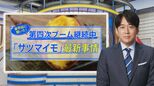 「奇跡のサツマイモ」に「うなぎいも」…まだまだアツい!サツマイモブーム【THE TIME,】 |TBS NEWS DIG