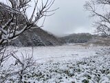 長野県内の標高の高いところで雪　菅平や野辺山で氷点下・平地も気温低く「平年並み」に|TBS NEWS DIG