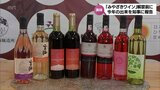「みやざきワイン」の解禁を前に　宮崎県内4つのワイナリ―の代表が今年の出来をアピール　|　MRTニュース ｜ ＭＲＴ宮崎放送