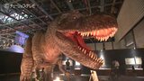 ティラノサウルスが迫る 恐竜王国大冒険・開幕|TBS NEWS DIG