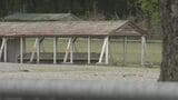 「手首をかまれた」自衛隊員がクマに襲われけが　演習場の林野火災対応後に　福島　|　福島のニュース│TUF