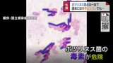 細菌兵器やバイオテロに…ボツリヌス菌とは一体何？　富山県内で初確認のボツリヌス症　保存食品や発酵食品は異変に注意　|　富山のニュース｜天気・防災｜チューリップテレビ