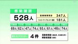 「高知市周辺は実質的に満床に近い」新型コロナ 高知県内で528人感染確認 2人死亡 | 高知のニュース・天気|KUTV NEWS | KUTVテレビ高知