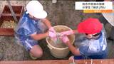 小学生が熟していない柿から『柿渋』作り その効果「防水や防虫」で木工品の塗料や染物に 宮城・白石市|TBS NEWS DIG