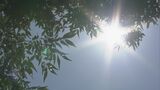 岐阜市39℃ 名古屋市38℃予想 東海3県に熱中症警戒アラート「涼しい時間がない…」きょうも熱中症対策を | 名古屋・愛知・岐阜・三重のニュース【CBC news】 | CBC web