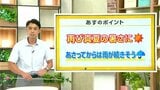 高知の天気　５日　日差し届き暑さ戻る　山岸拓気象予報士が解説|TBS NEWS DIG