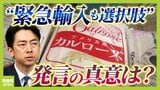 コメ価格めぐる“小泉大臣とJAの綱引き”備蓄米の次の一手は輸入米か...「緊急輸入も選択肢」発言の真意とは “聖域なくす”コメ政策で価格は落ち着く?【解説】|TBS NEWS DIG