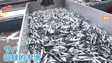 【サバ缶】記録的不漁で値上げや出荷停止相次ぐ 最大23%値上げも |TBS NEWS DIG