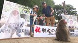 ご長寿ザル 35歳の「ナンチュウ」のパネルと記念撮影 人間では112歳 大分・高崎山 | 大分のニュース|OBS NEWS|大分放送