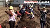 「ウオー出た」「こんなに大きいの取れた」サツマイモ収穫体験に園児が歓声＝静岡・伊東市|TBS NEWS DIG
