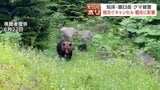 世界遺産・知床に潜む危機 ヒグマが人間を襲った…登録後初の人身事故が問いかけるもの 入山規制が必要だったと指摘する専門家も | 北海道のニュース|HBC北海道放送