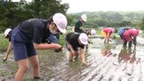 「おいしいお米になって」 地域の棚田遺産で小学生が田植えを体験 岩手・遠野市|TBS NEWS DIG
