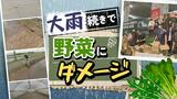 農家「恐怖を感じる」雨続きで野菜の出荷が滞るおそれ、九州は4日から再び大雨の予想 | 福岡のニュース|RKB NEWS|RKB毎日放送