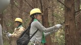 豊かな森林づくりにむけて 日本生命職員と家族が育樹活動 大分 | 大分のニュース|OBS NEWS|大分放送