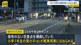 「お客さんのところから帰る途中に」6歳男児が交差点で軽乗用車にはねられ重体…82歳男を現行犯逮捕 兵庫・豊岡市|TBS NEWS DIG