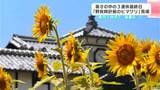 「元気が出る花かなあって。暑いけど」高知県安芸市のシンボル「野良時計」の前に広がる約2万本のヒマワリ畑見ごろ 暑さの中3連休最終日にぎわう | 高知のニュース・天気|KUTV NEWS | KUTVテレビ高知
