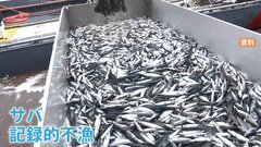 【サバ缶】記録的不漁で値上げや出荷停止相次ぐ　最大23％値上げも | TBS CROSS DIG with Bloomberg